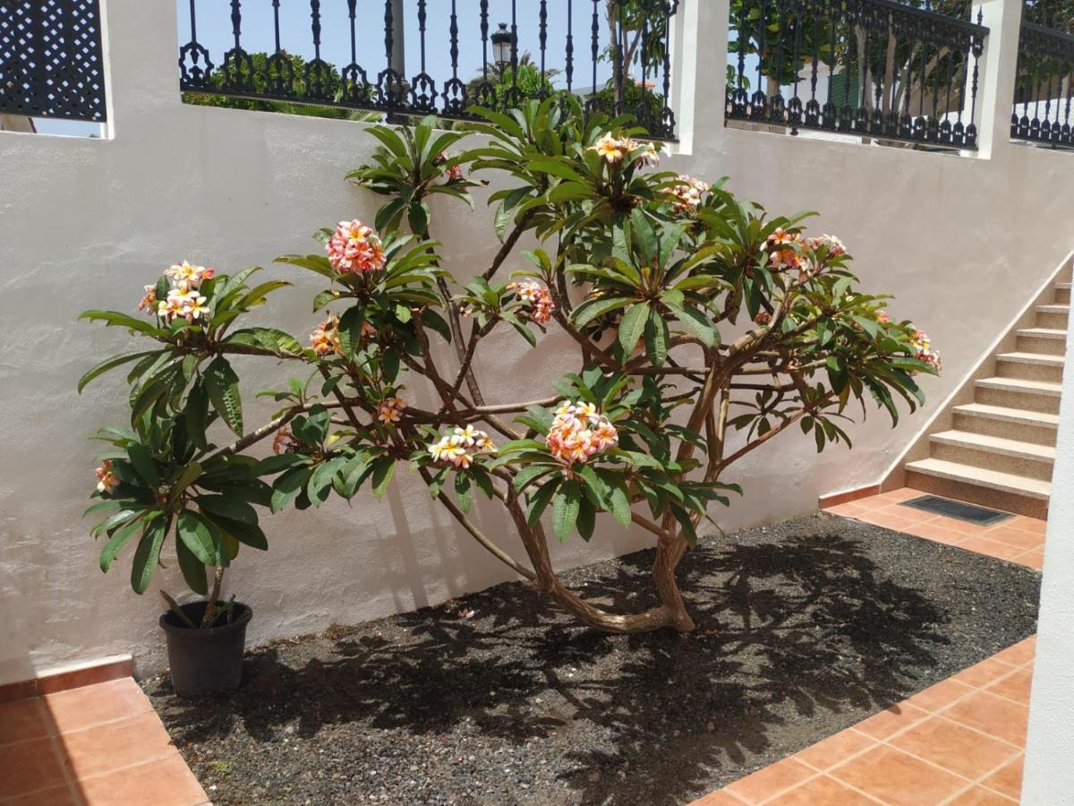 Punta Negra Apartment ปัวร์โตเดซานตีอาโก ภายนอก รูปภาพ